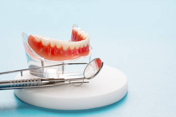 Best Pediatric Dentistry  in Mango, FL