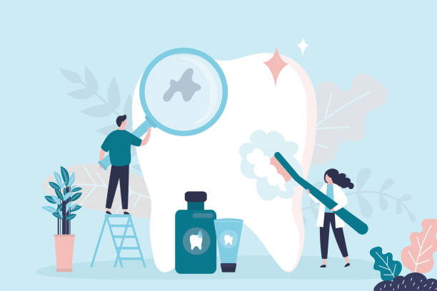 Best Root Canal Treatment  in Mango, FL