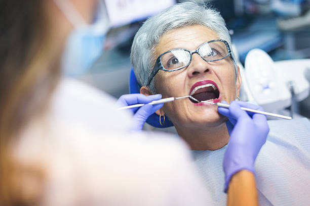  Mango, FL Dental Services Pros